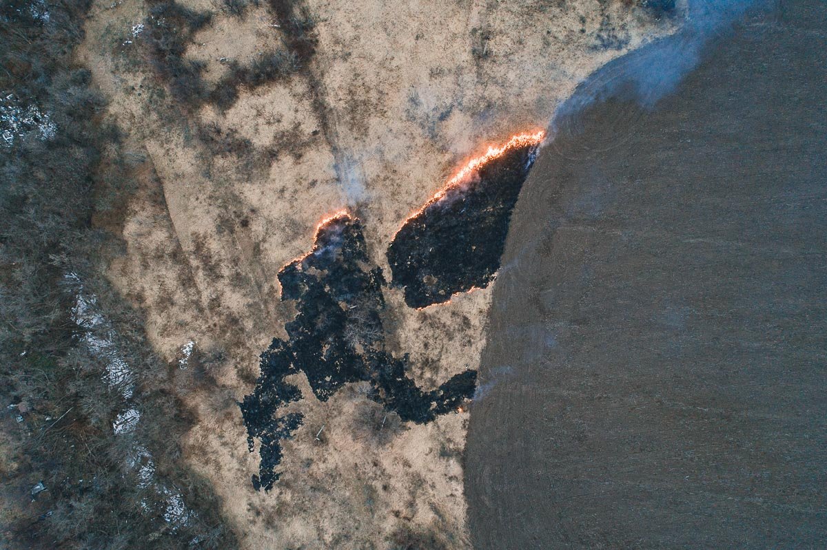 Происшествие обошлось без человеческих жертв