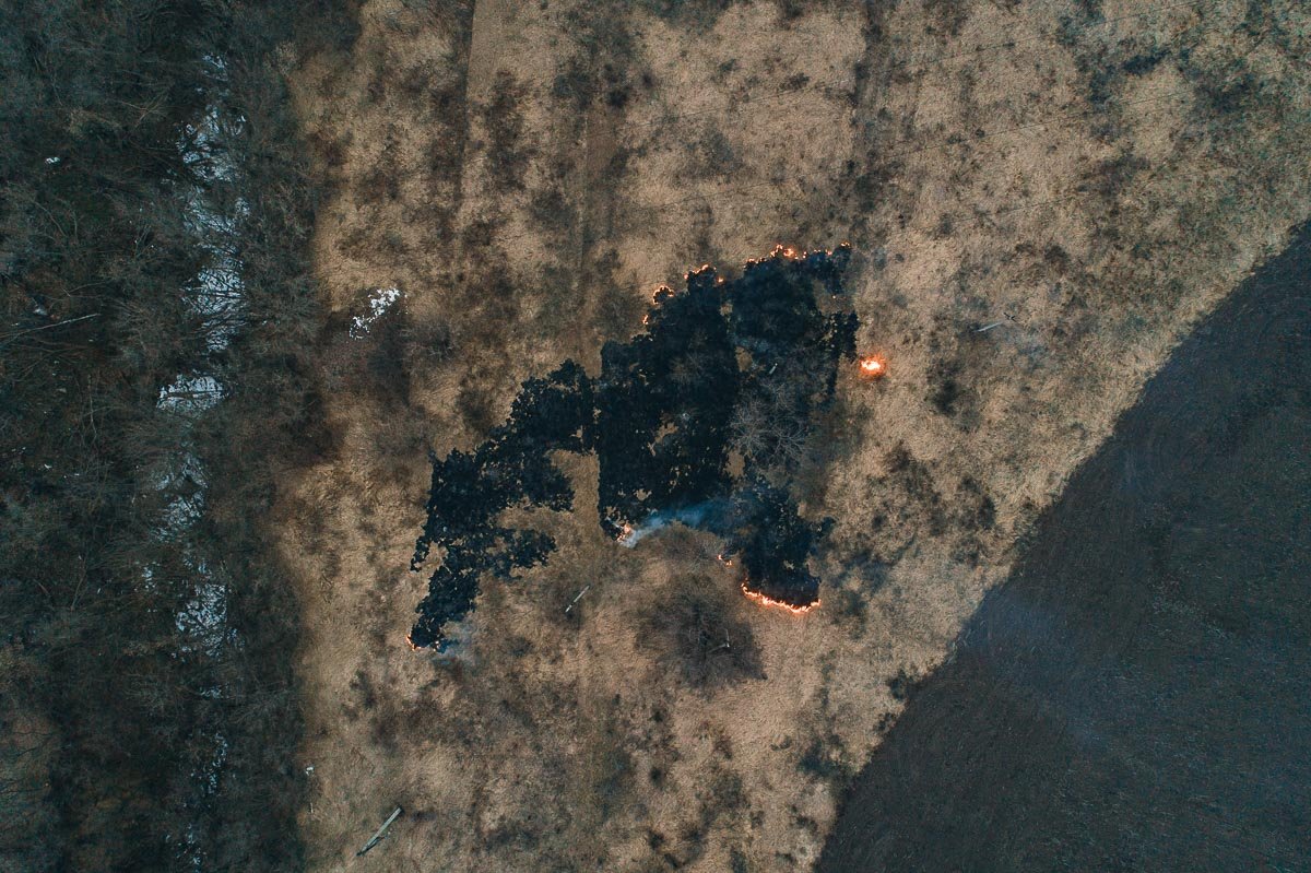 Что стало причиной пожара на таком отдаленном от людей участке, на данный момент, неизвестно