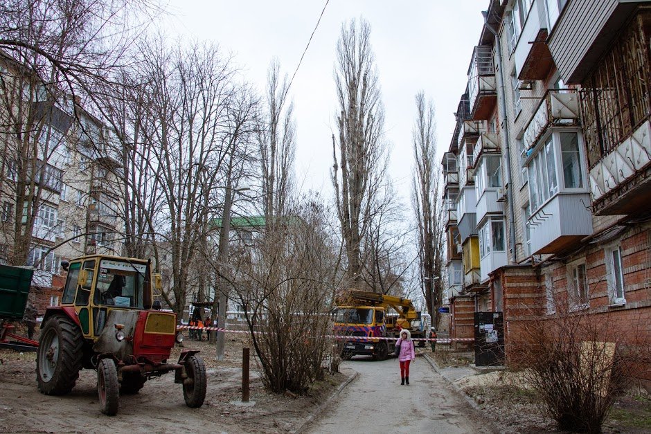Обрезка аварийных деревьев