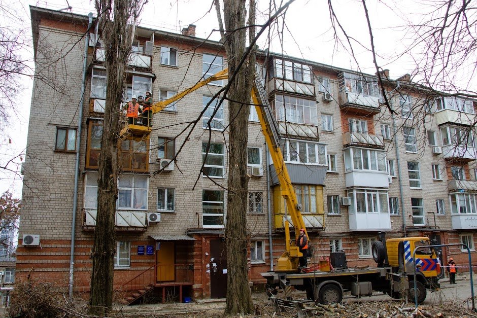 С начала года удалили около 300 аварийных деревьев
