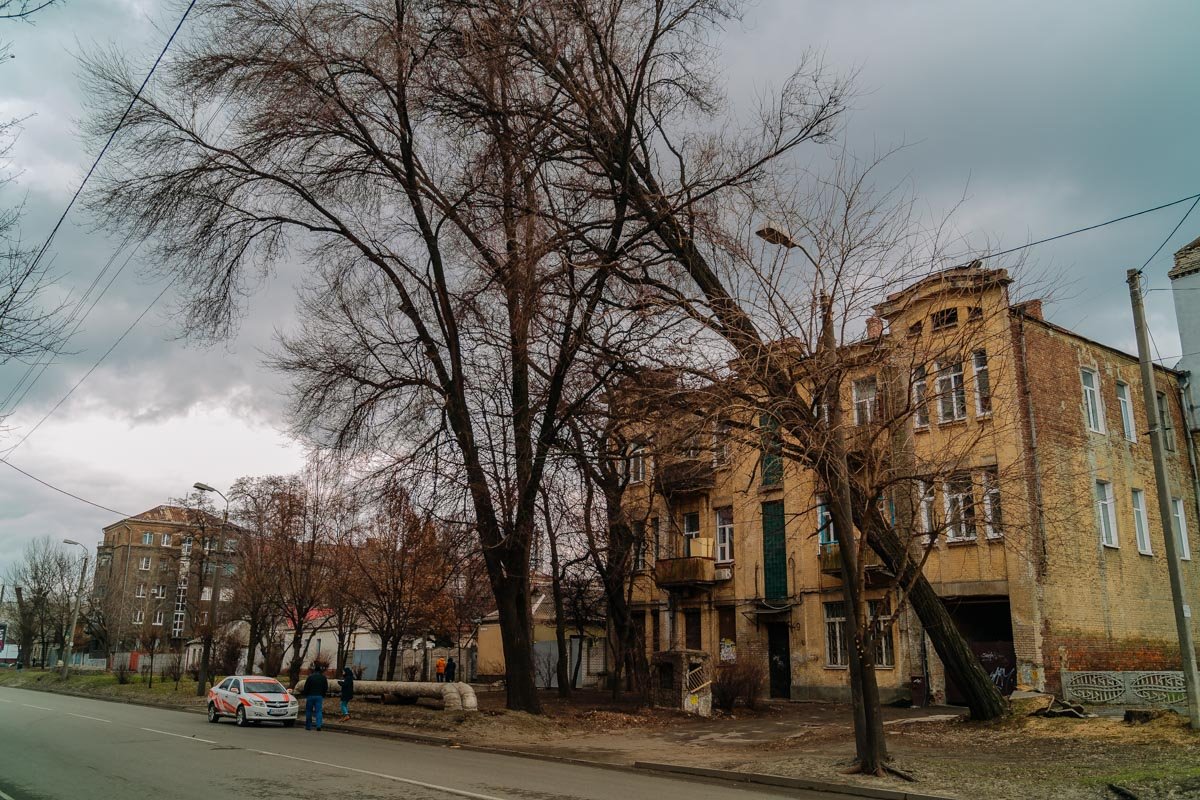 Дерево нависло над дорогой в районе дома № 49 Дерево нависло над дорогой в районе дома № 49