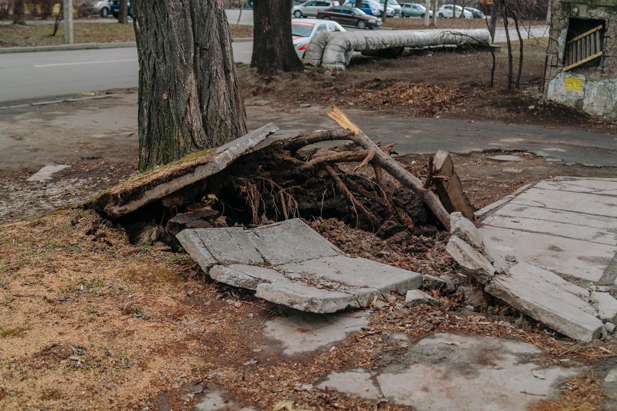 Бригада ГСЧС уже в пути, а пока - улица перекрыта Бригада ГСЧС уже в пути, а пока - улица перекрыта