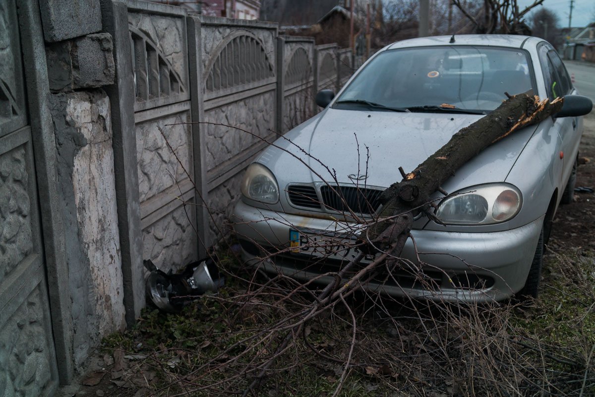 Рядом стоял припаркованный автомобиль Daewoo, на который рухнула сухая ветка Рядом стоял припаркованный автомобиль Daewoo, на который рухнула сухая ветка