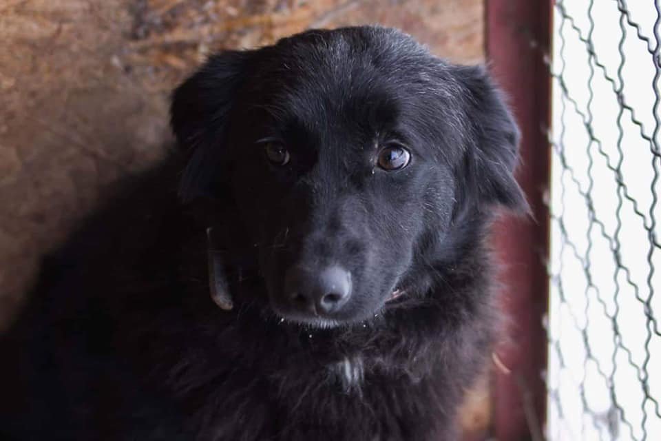 Милая Марточка Милая Марточка