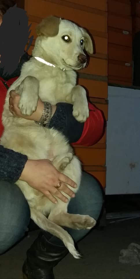 Гордый Лорд Гордый Лорд