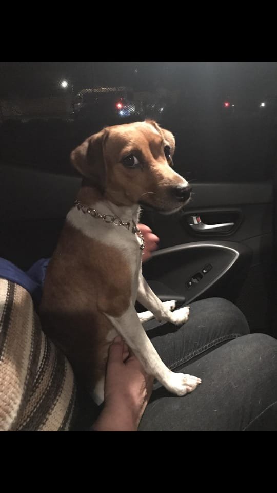 Брошенная малышка Брошенная малышка