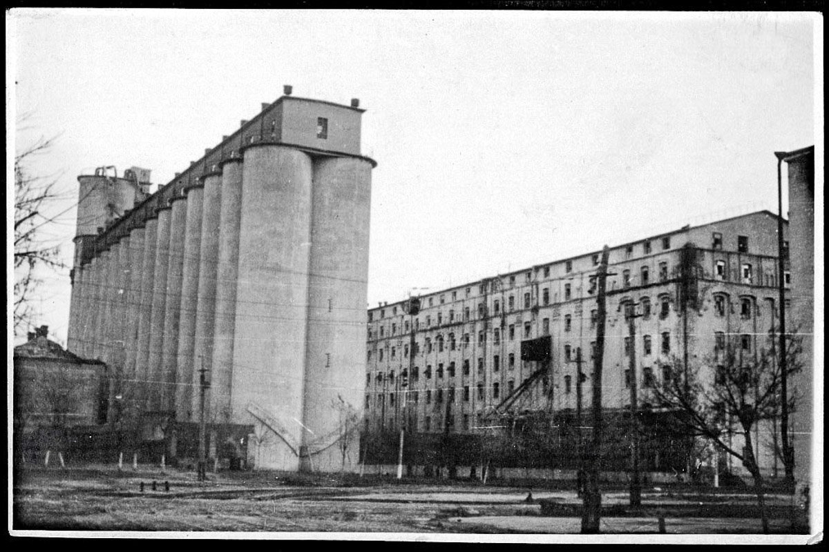 Олейна Олейна