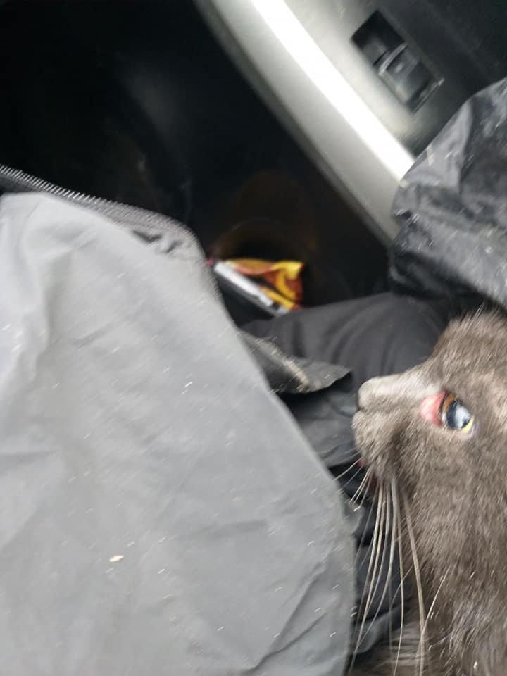 Малыша не оставили умирать Малыша не оставили умирать