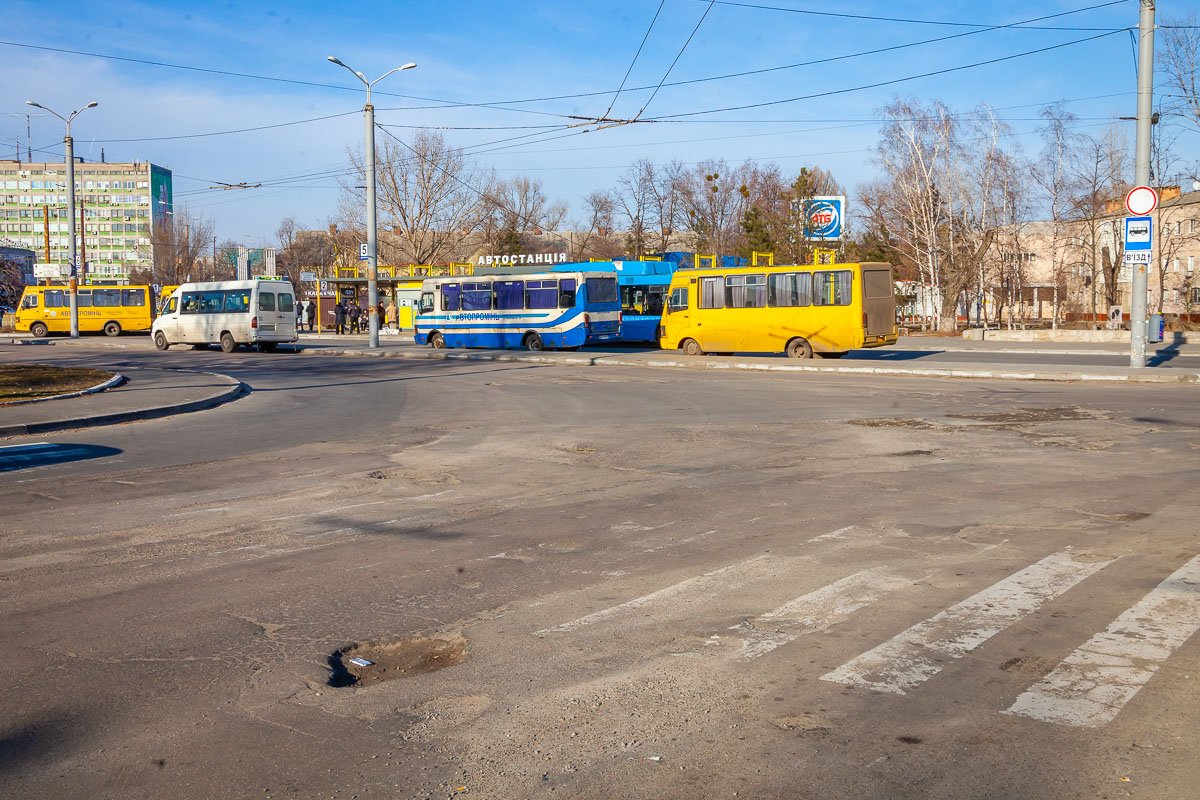 Они здесь стали просто стихийным бедствием и причиняют много боли местным жителям