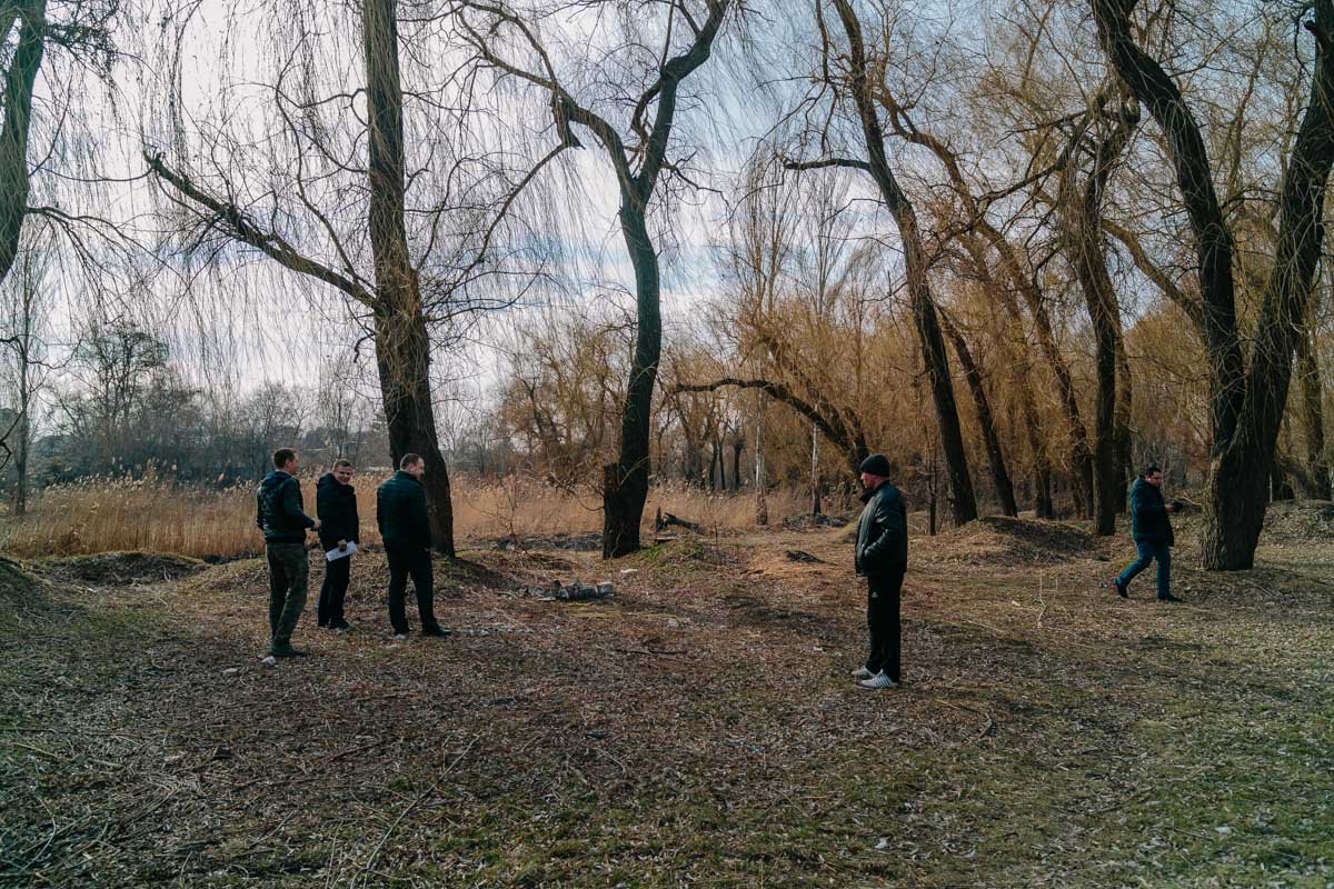 Представитель КП отправился в парк, чтобы найти аварийные деревья