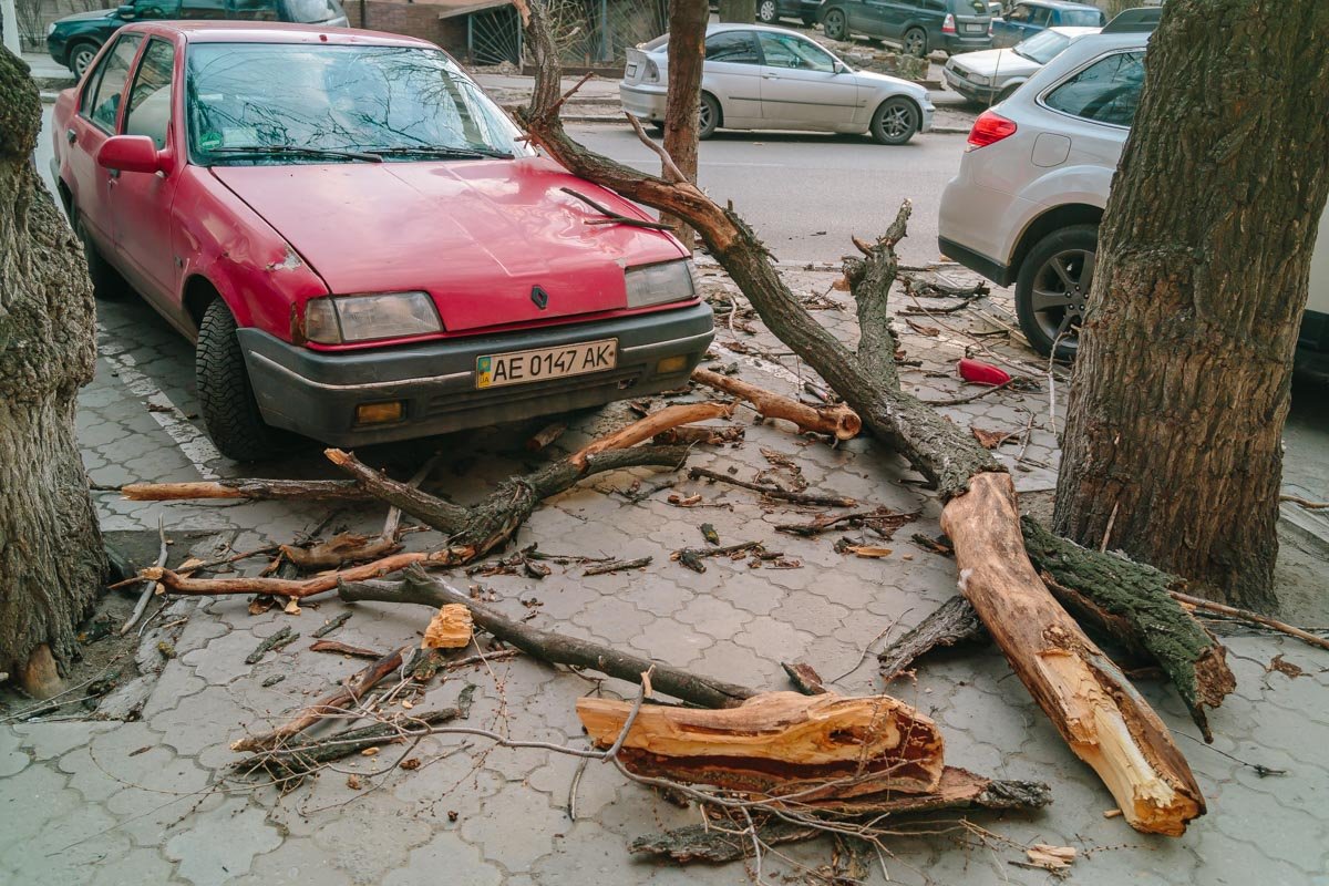 Никто не пострадал