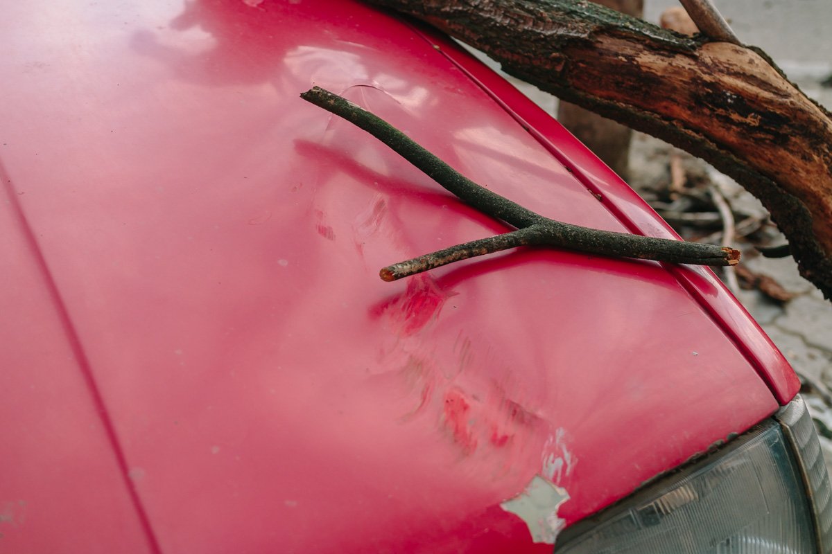 Ветки повредили машину