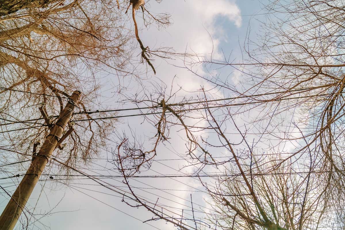 Подобное тут происходило и раньше