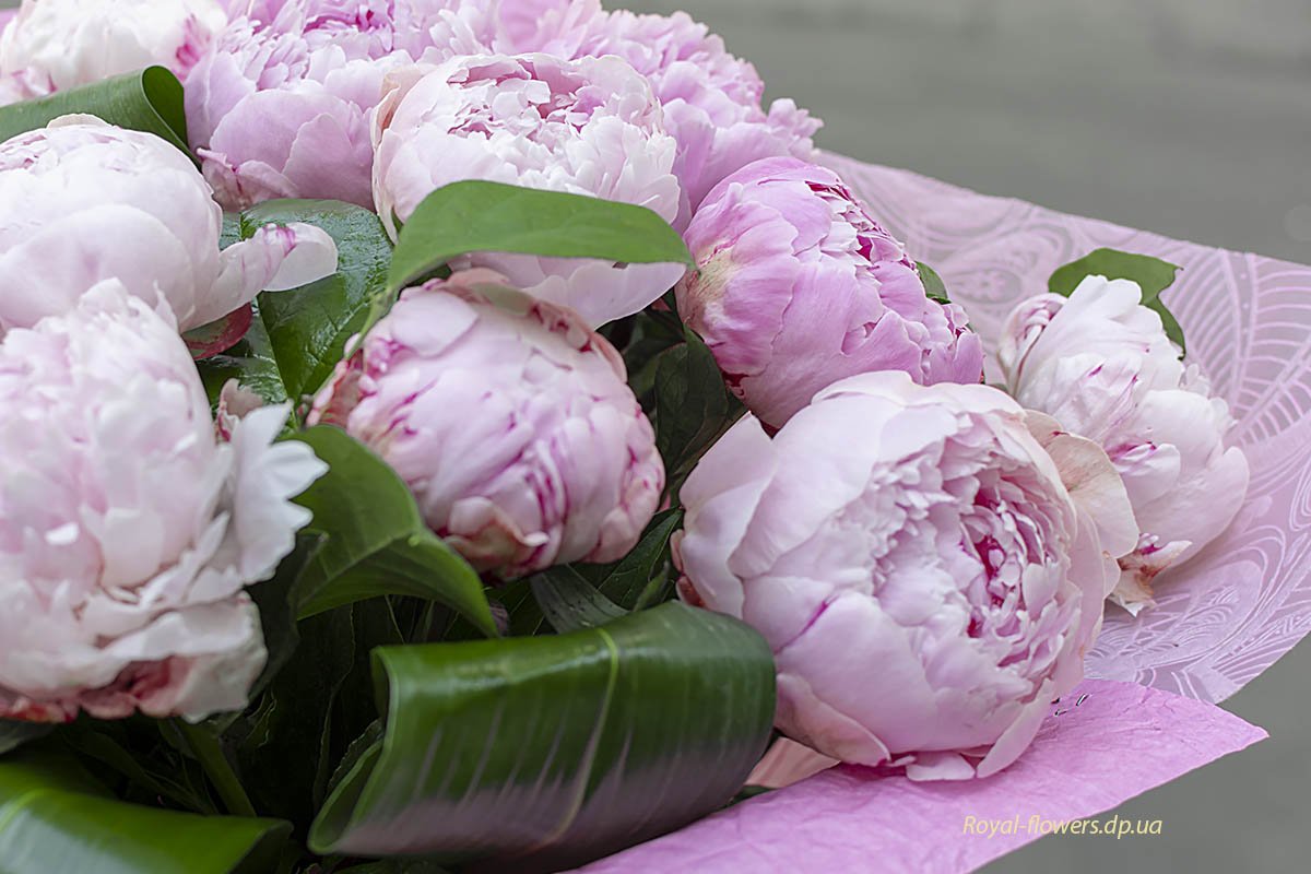 Где купить цветы к 8 Марта в Днепре: рынок или интернет-магазин 1