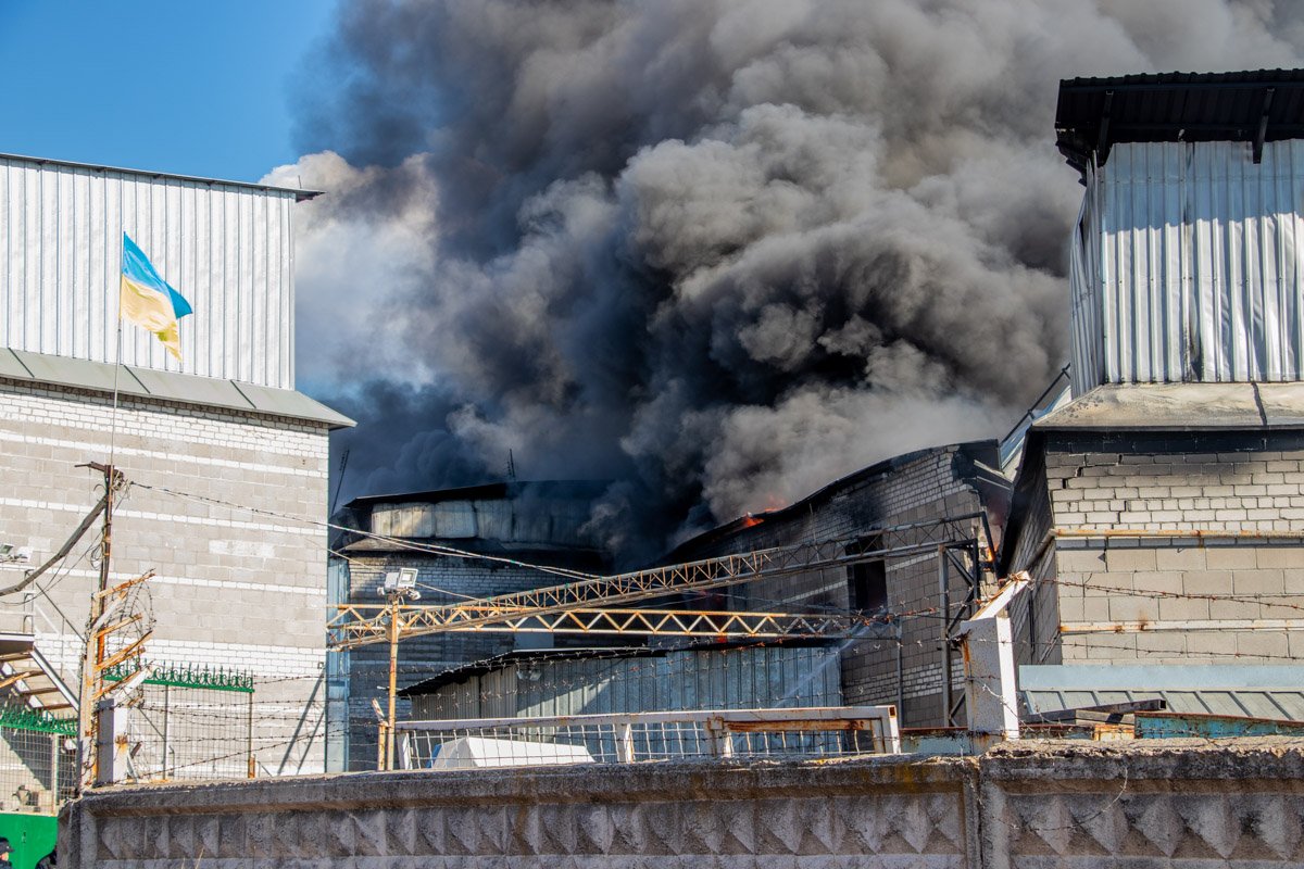Пожар нанес большой вред экосистеме Пожар нанес большой вред экосистеме
