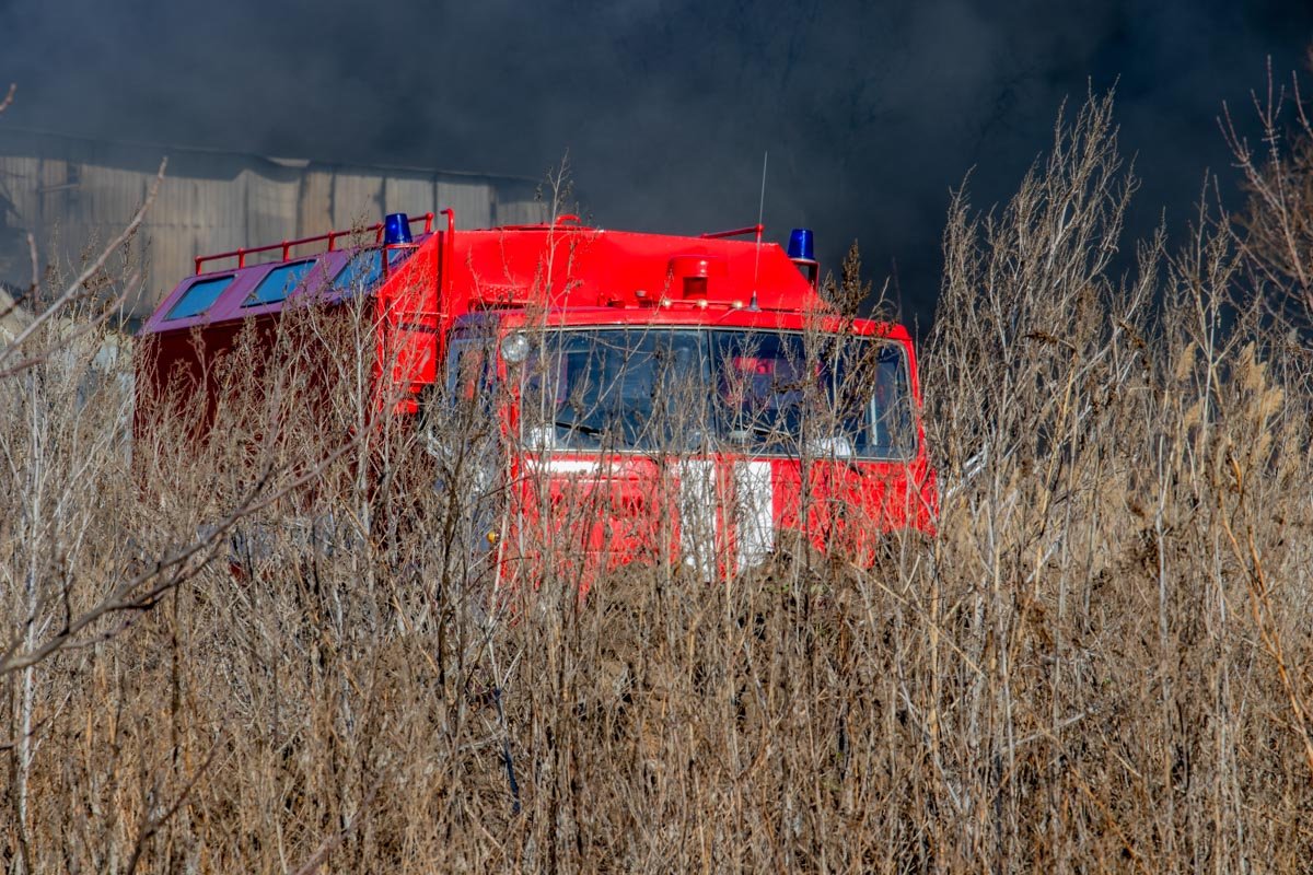 Затаилась Затаилась