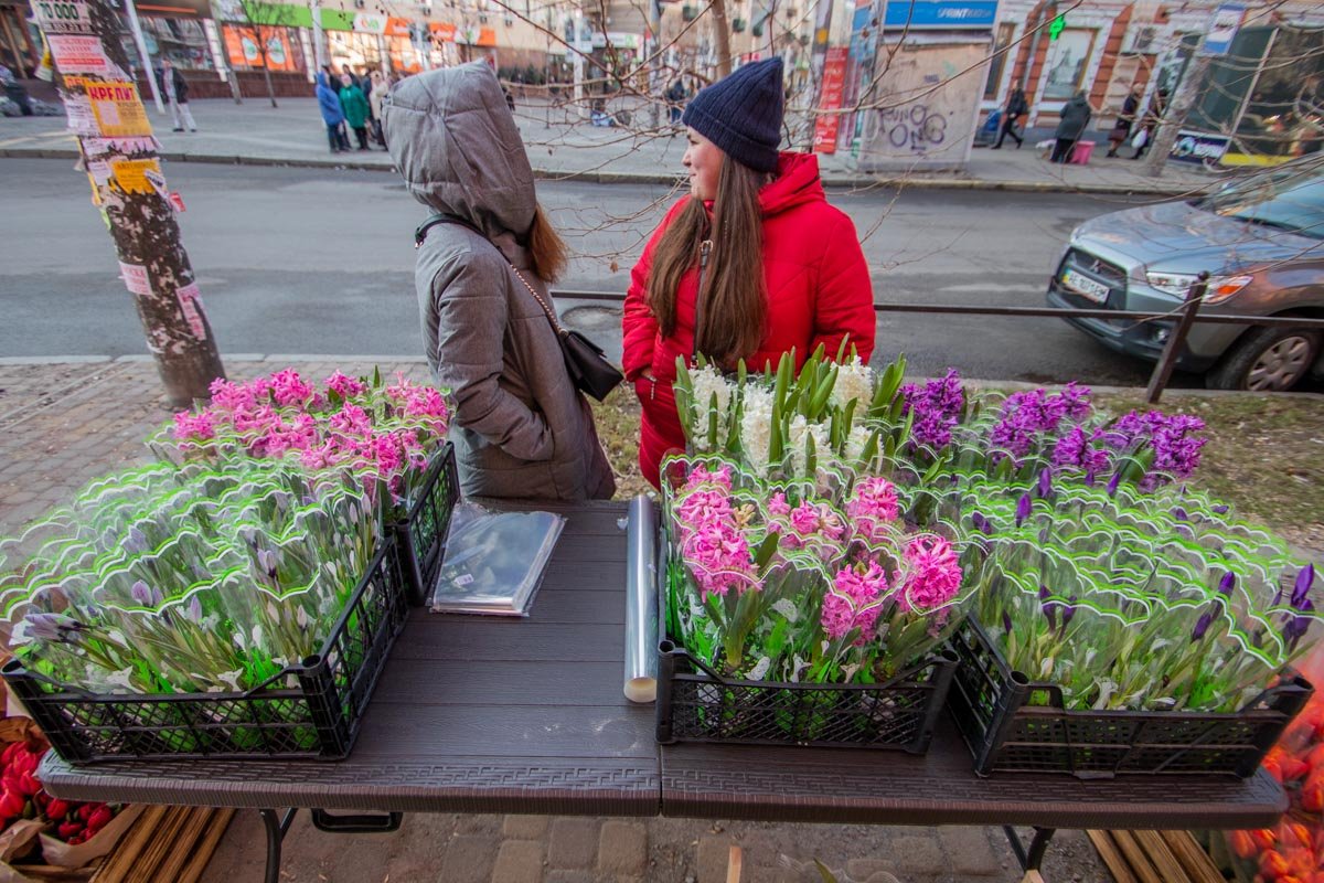 Цветы повсюду Цветы повсюду