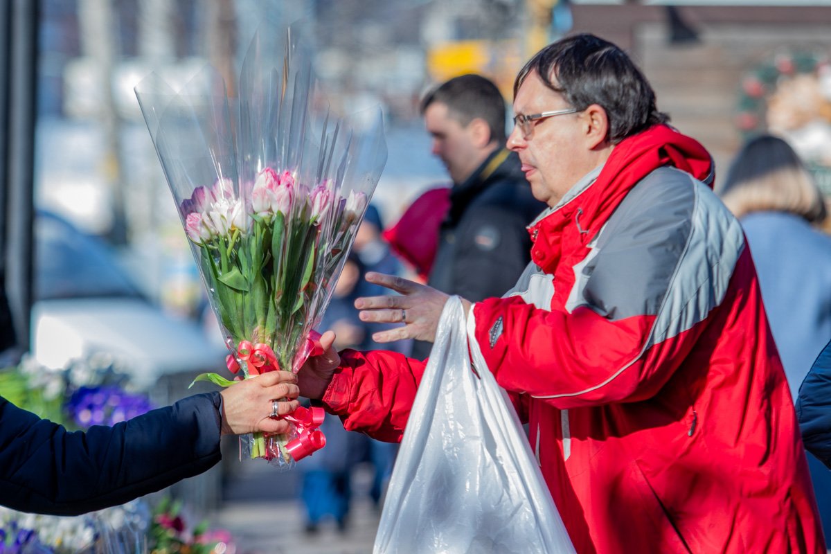 Все любят тюльпаны Все любят тюльпаны