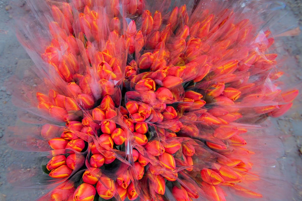 Время для счастья Время для счастья