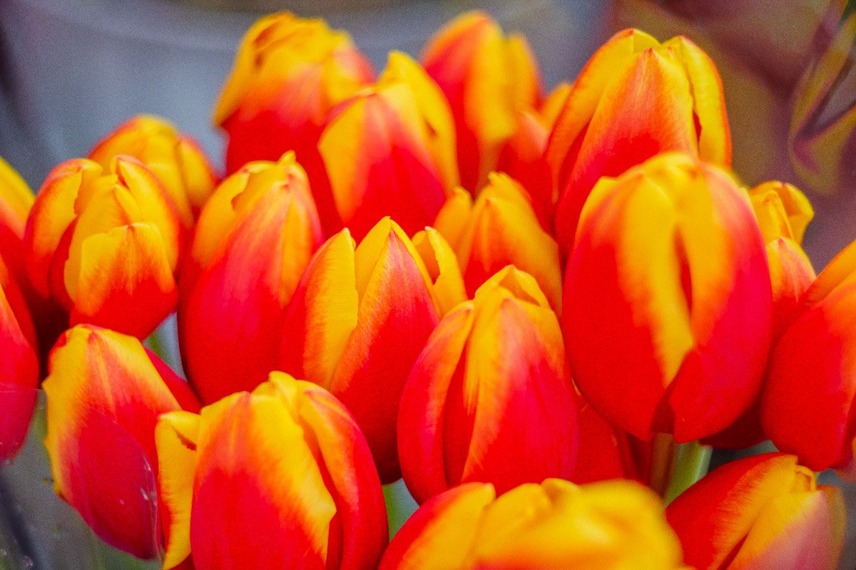 С праздником вас С праздником вас