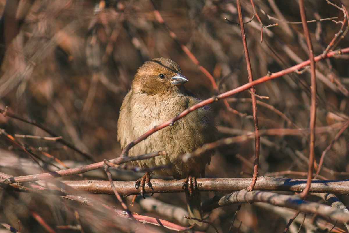Если жизнь прошла –