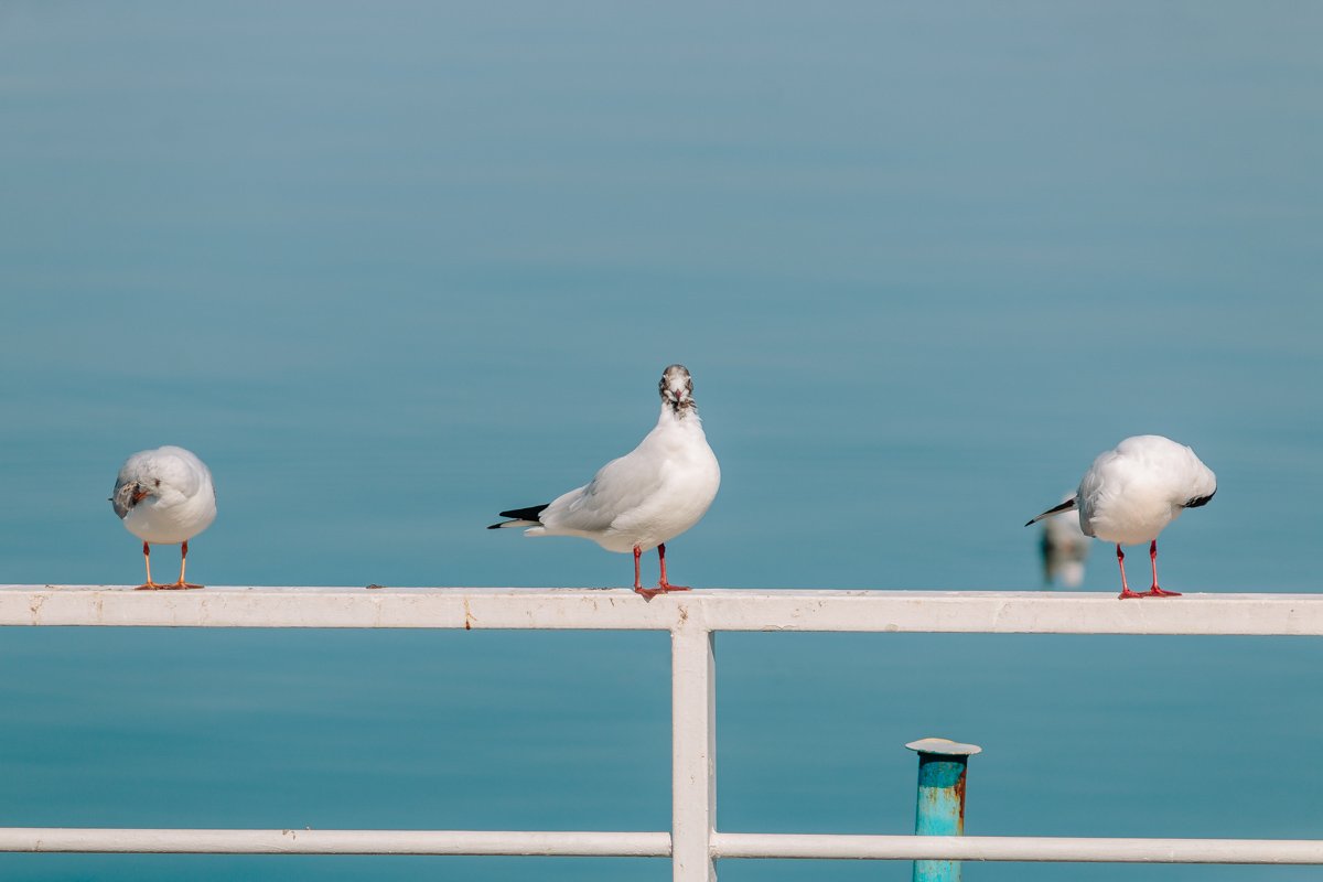 Пока в целом хватает душевных сил.