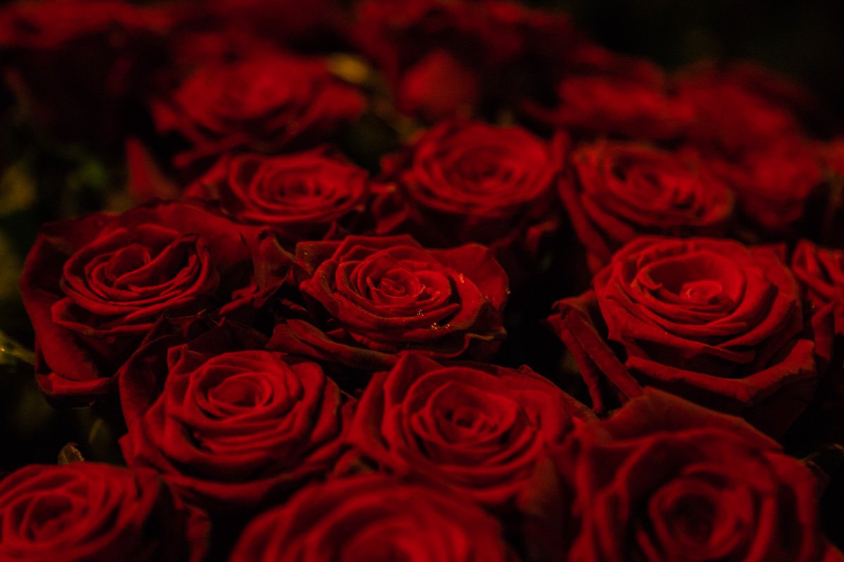 Любовь повсюду Любовь повсюду