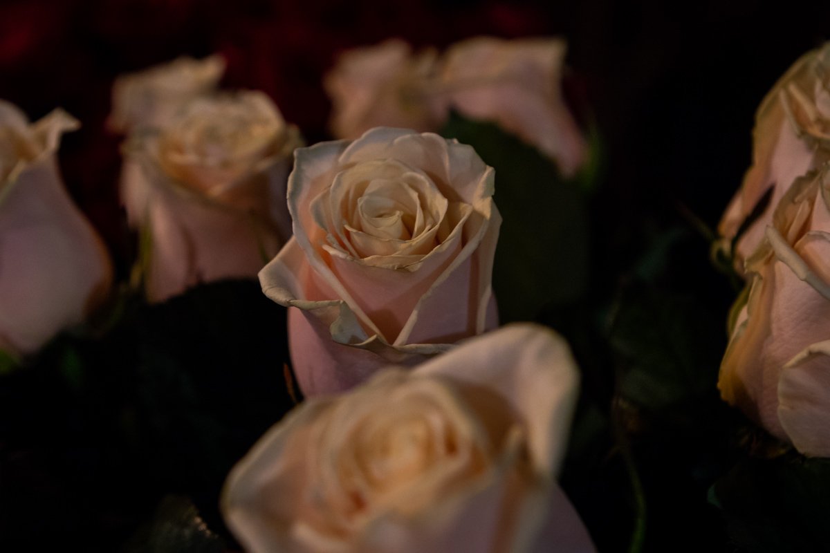 Завтра будет дороже Завтра будет дороже