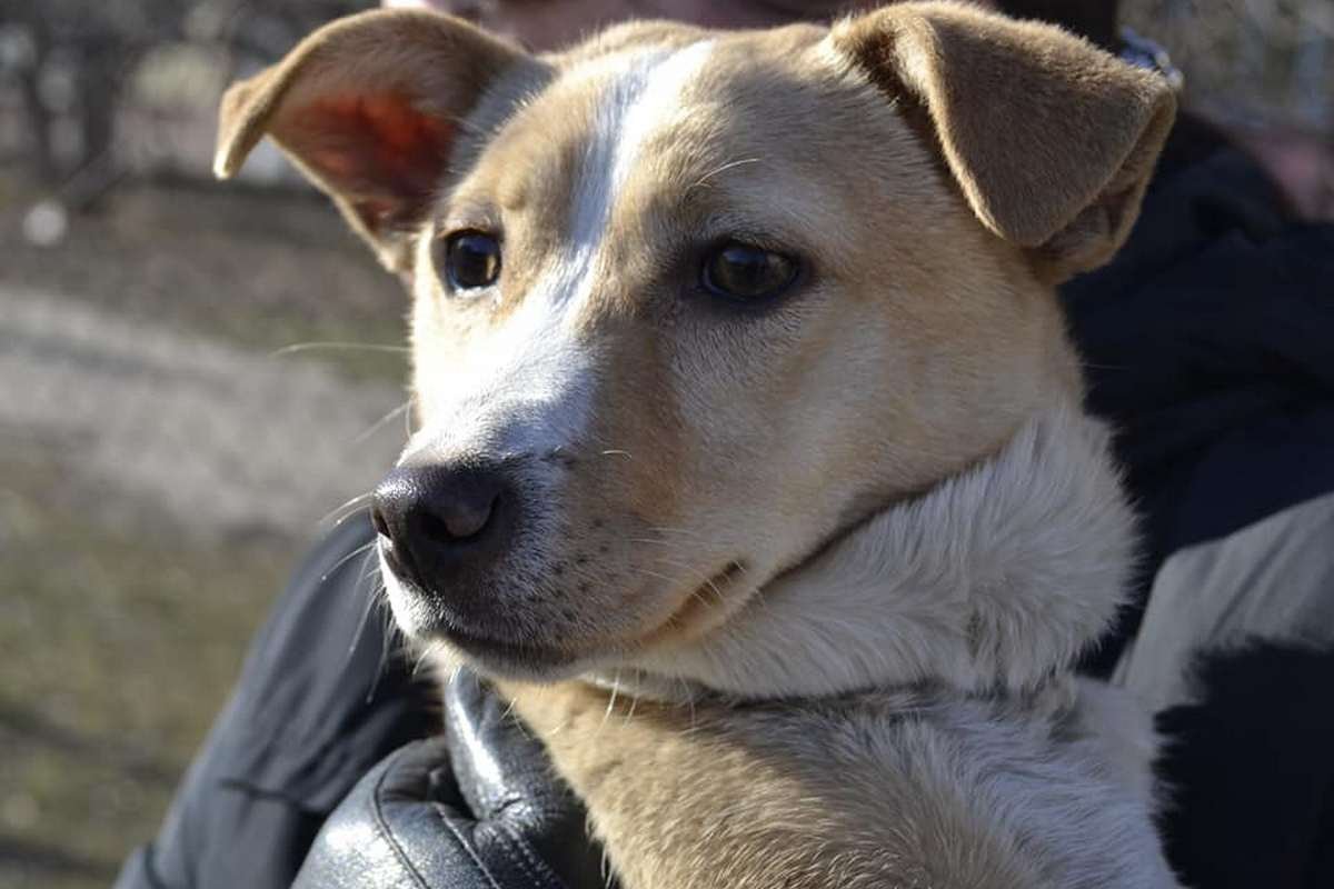 Одно сплошное НЯ