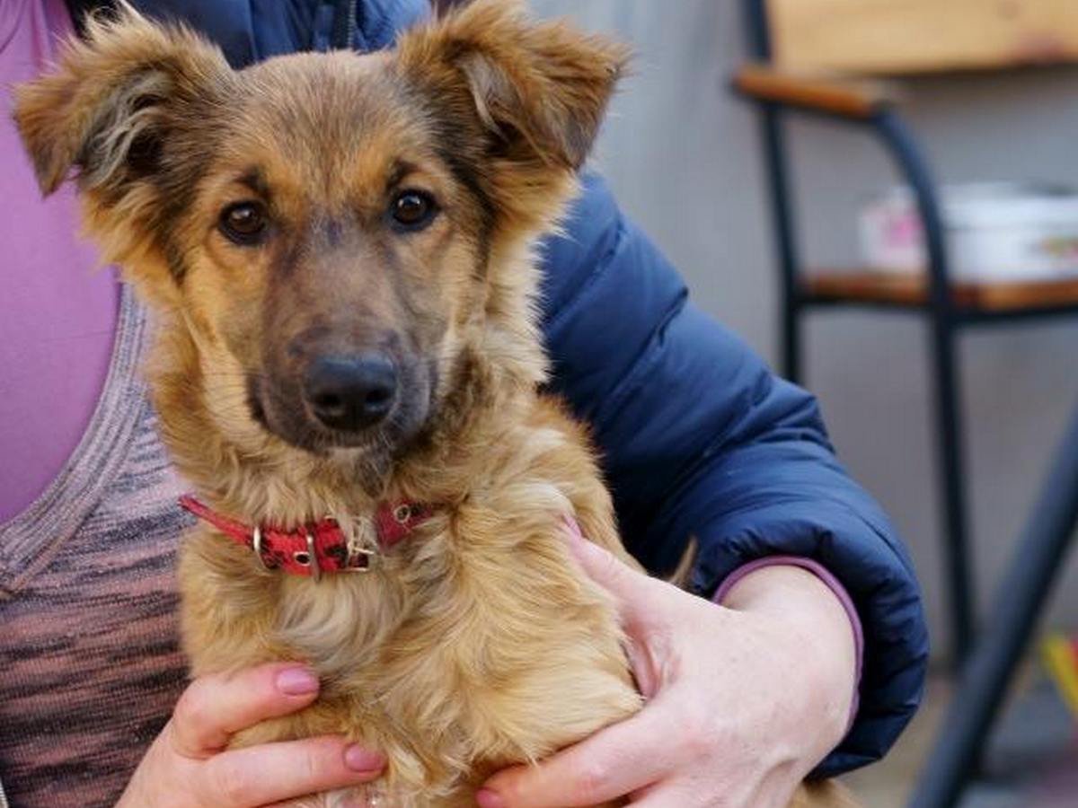 Малышка надеется, что когда-нибудь станет частью большой, дружной семьи