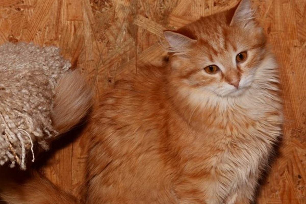 С ней вы сможете навсегда забыть, что такое депрессия