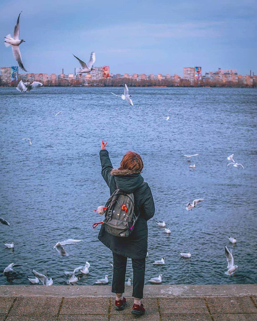 На море - вслед за чайками. Фото: photo_zip_dp На море - вслед за чайками. Фото: photo_zip_dp