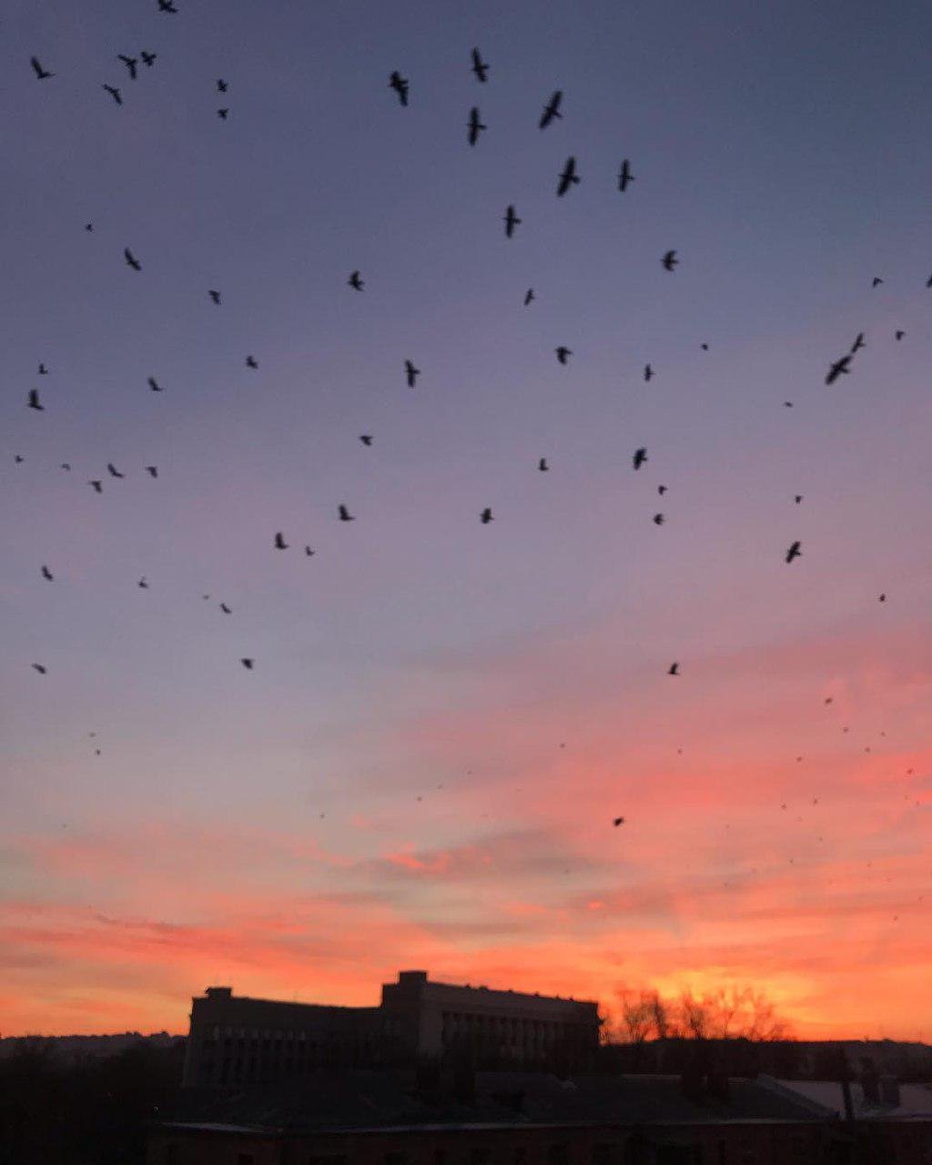 Кто там говорил, что самые красивые закаты - летом? Чушь! Фото: dreaming.boydp Кто там говорил, что самые красивые закаты - летом? Чушь! Фото: dreaming.boydp