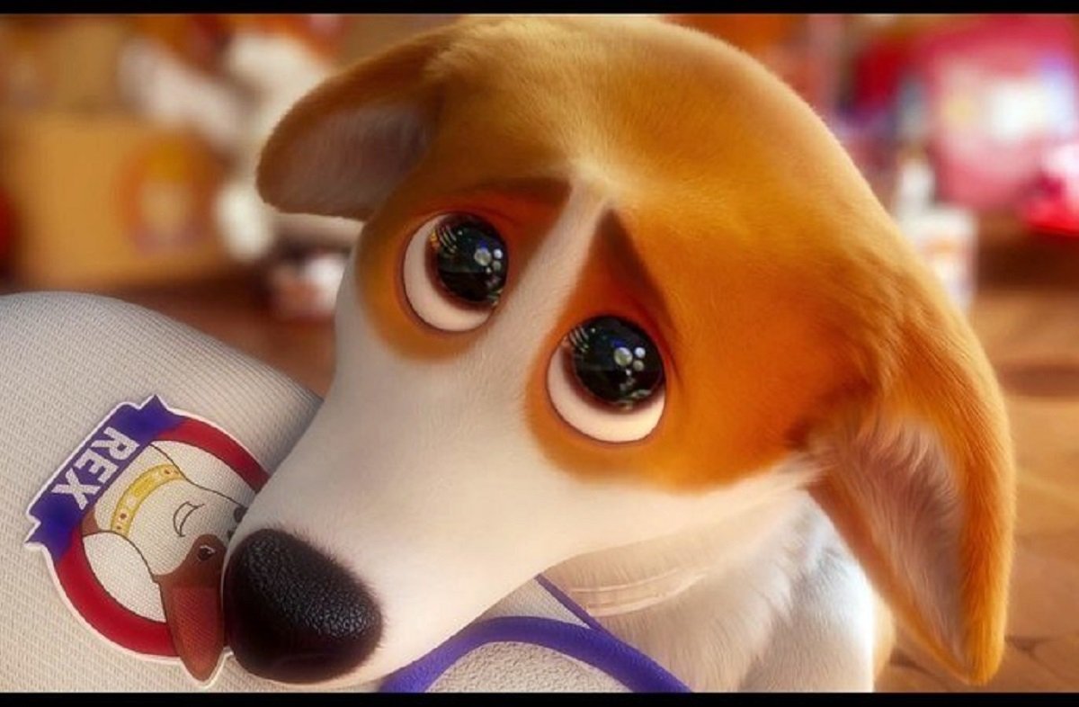 Мультфильм "Королевский корги" в Днепре Мультфильм "Королевский корги" в Днепре