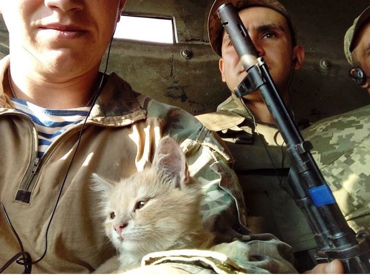 Тот самый кот