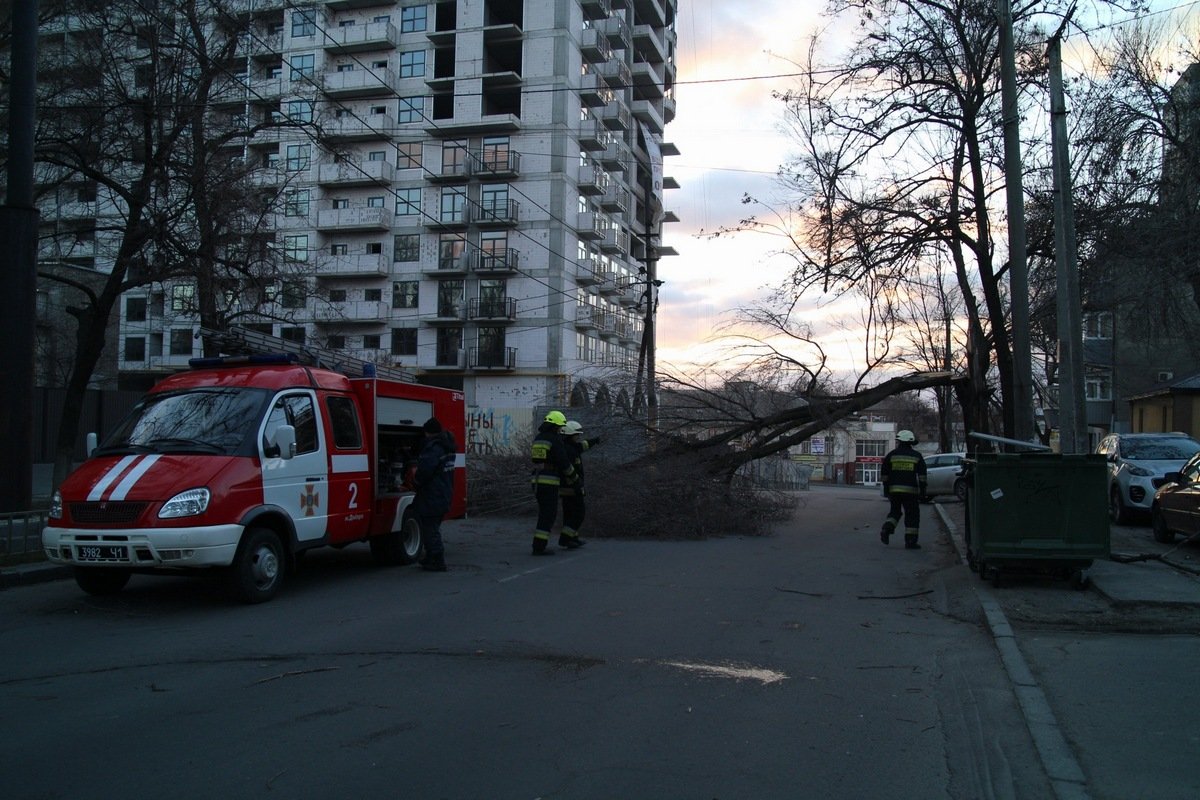 Упало дерево Упало дерево