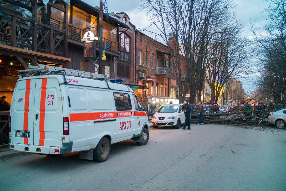 Дерево упало на проезжую часть, затруднив движение автомобилей Дерево упало на проезжую часть, затруднив движение автомобилей