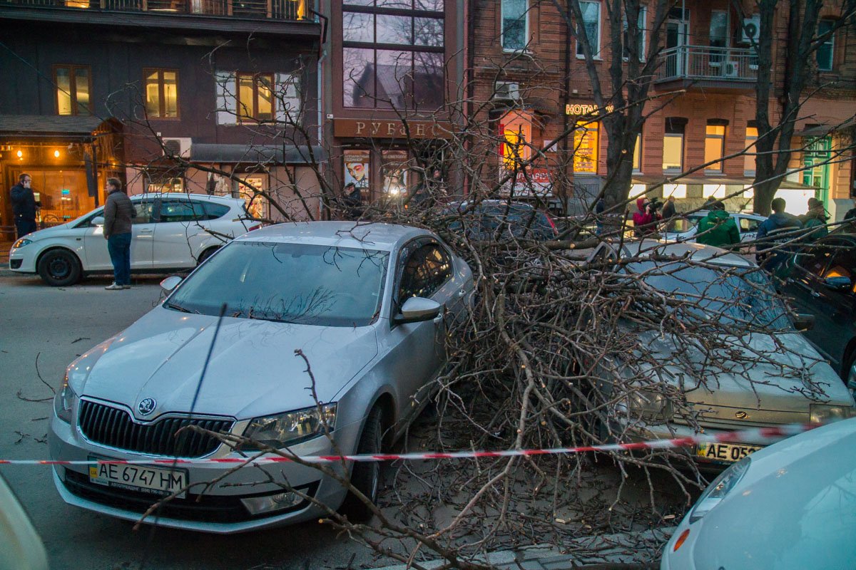 Более того, оно повредило как минимум 5 автомобилей Более того, оно повредило как минимум 5 автомобилей