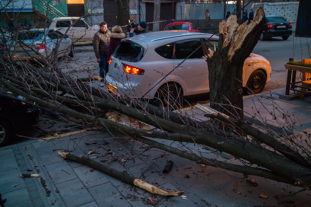 Работают спасатели и коммунальщики Работают спасатели и коммунальщики