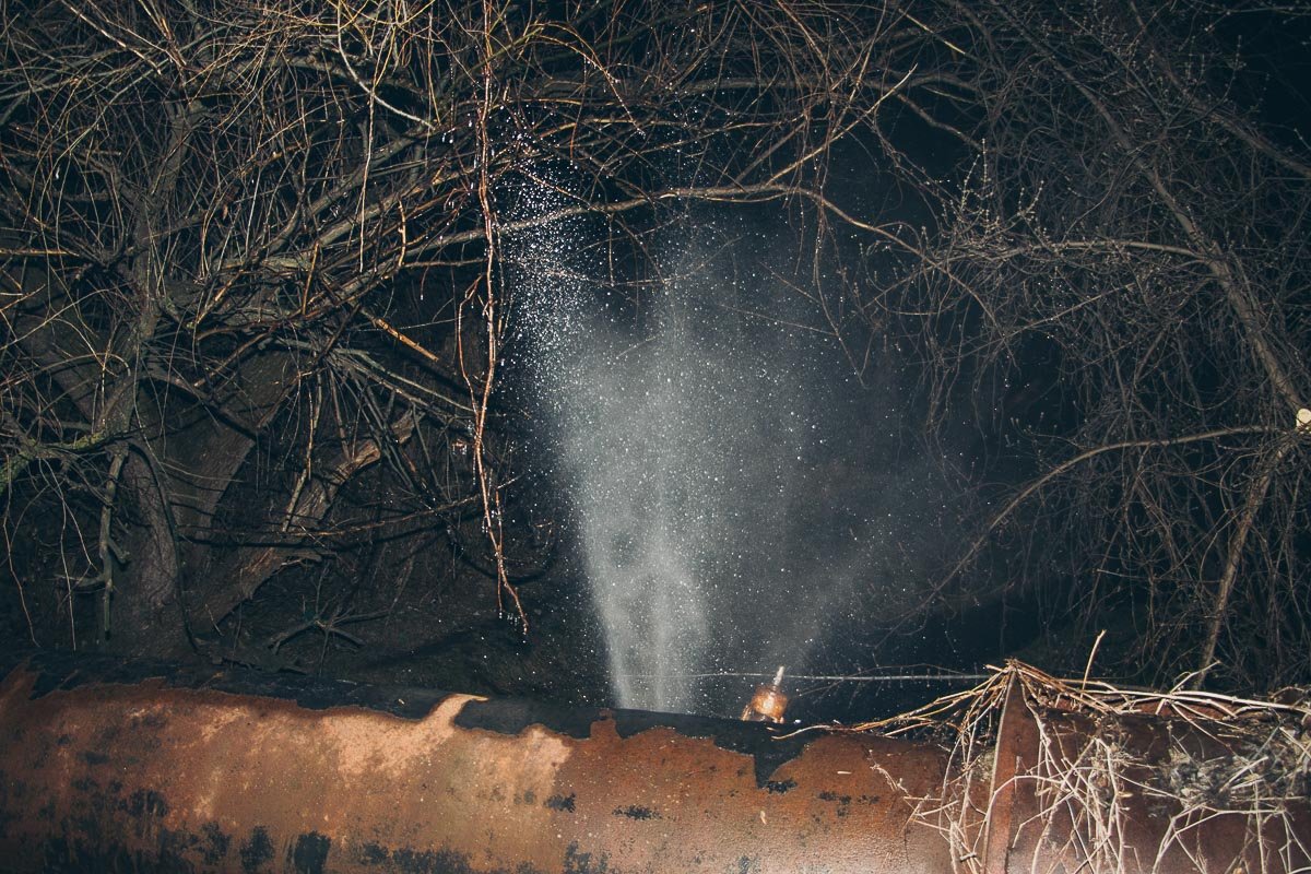 Фото: Андрей Шушпан