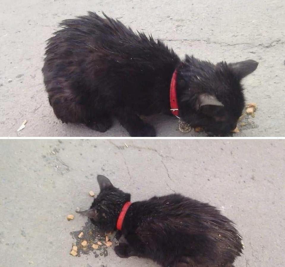 Она потерялась Она потерялась