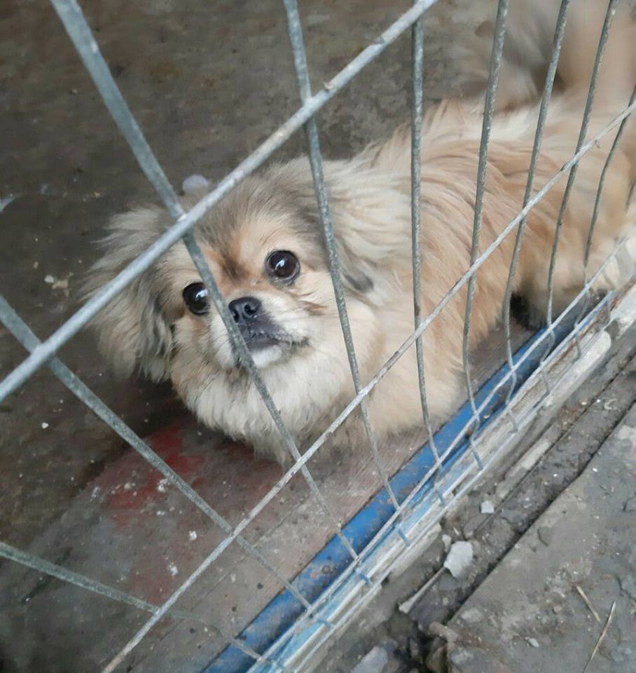 Потерян и не найден Потерян и не найден