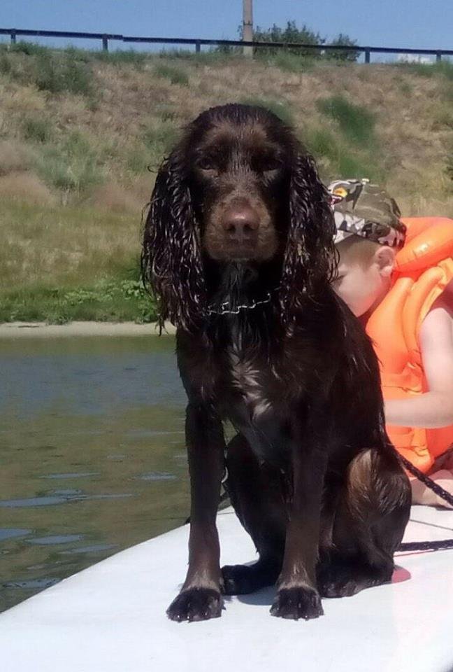 Готова вернуться Готова вернуться