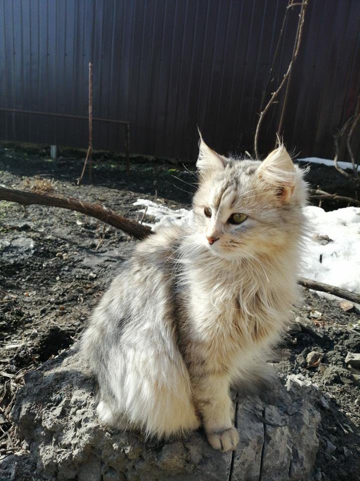 Малышка испугана и хочет к маме Малышка испугана и хочет к маме