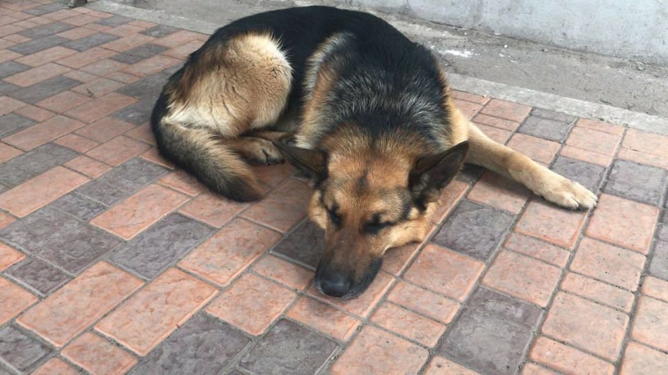 Хочет найтись Хочет найтись