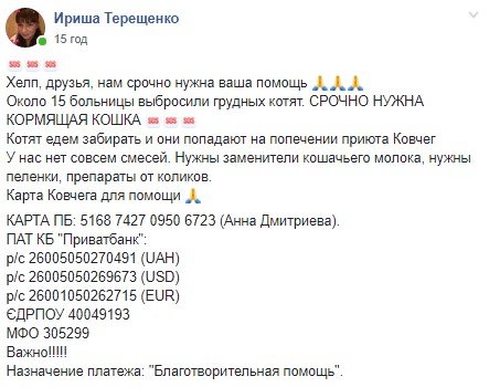 Волонтеры просят помощи Волонтеры просят помощи