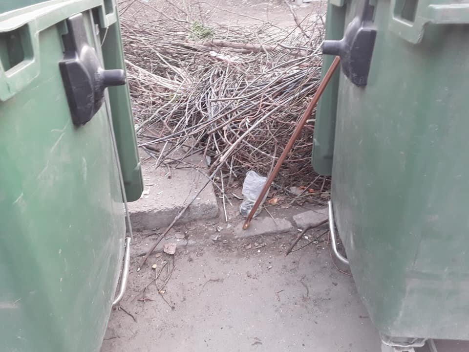 Котят нашли возле мусора Котят нашли возле мусора