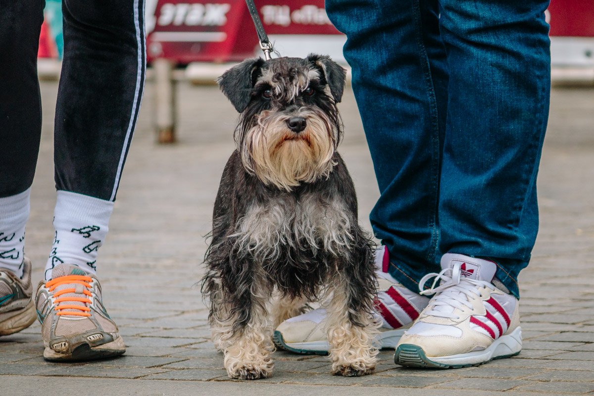 Около половины всех парниковых газов, получаемых в ходе хозяйственной деятельности человечества, остаётся в атмосфере