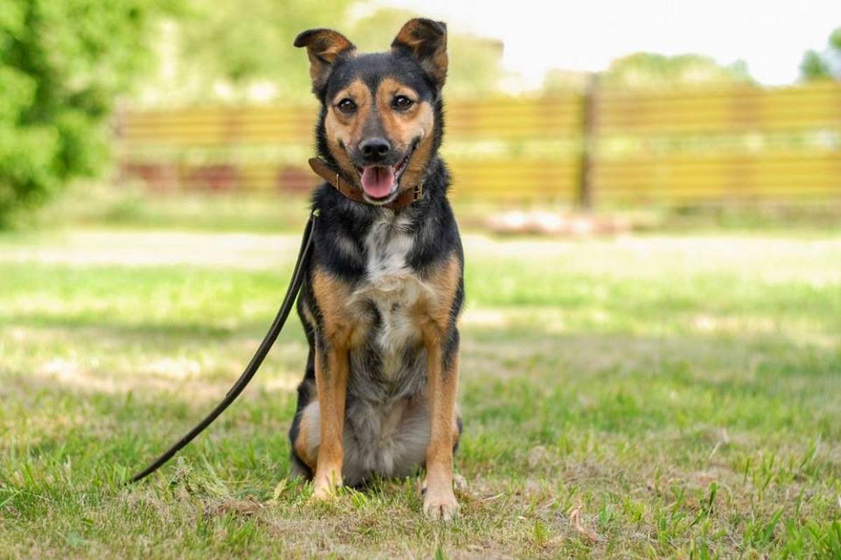 Малышка надеется, что когда-нибудь станет частью большой, дружной семьи Малышка надеется, что когда-нибудь станет частью большой, дружной семьи