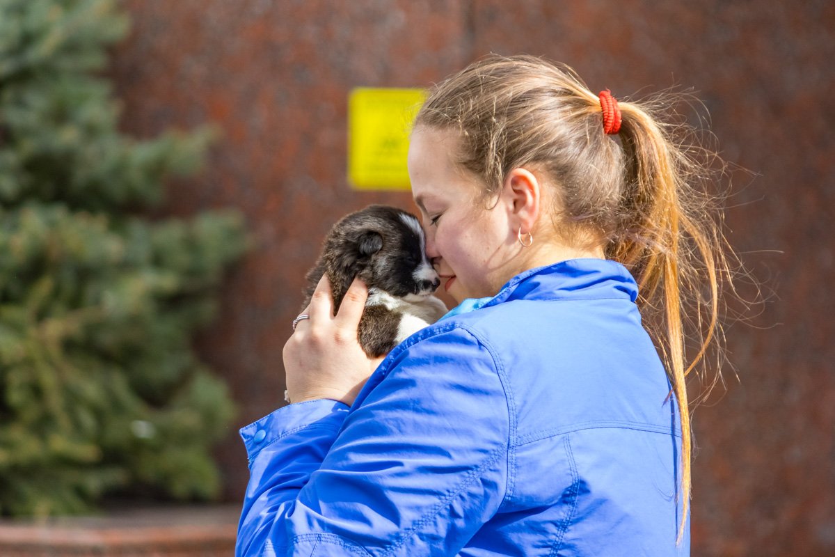 Взяв животное с улицы, вы не только сохраните жизнь, но и обретете друга Взяв животное с улицы, вы не только сохраните жизнь, но и обретете друга